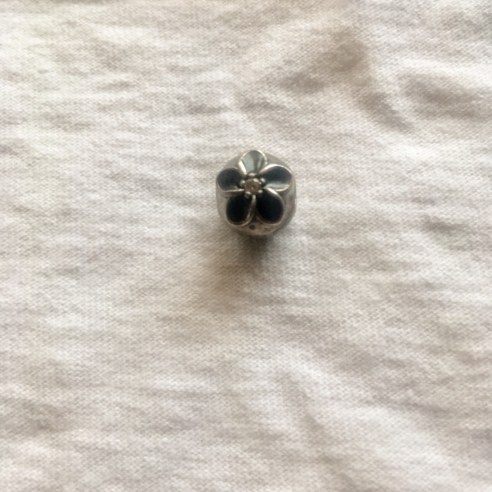 PANDORA Mystic Floral Charm