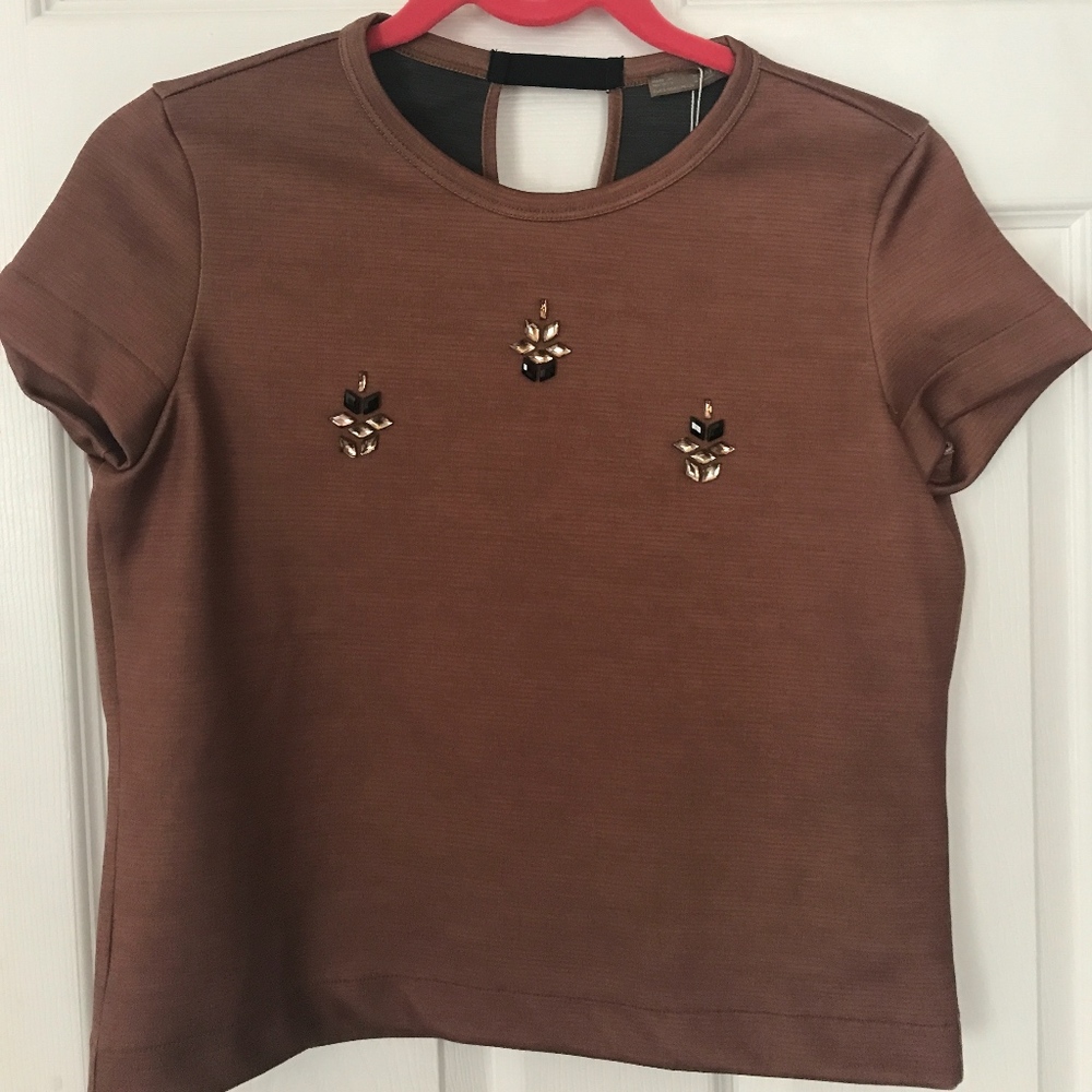 Zara Cropped Boxy Tee with Embellishment