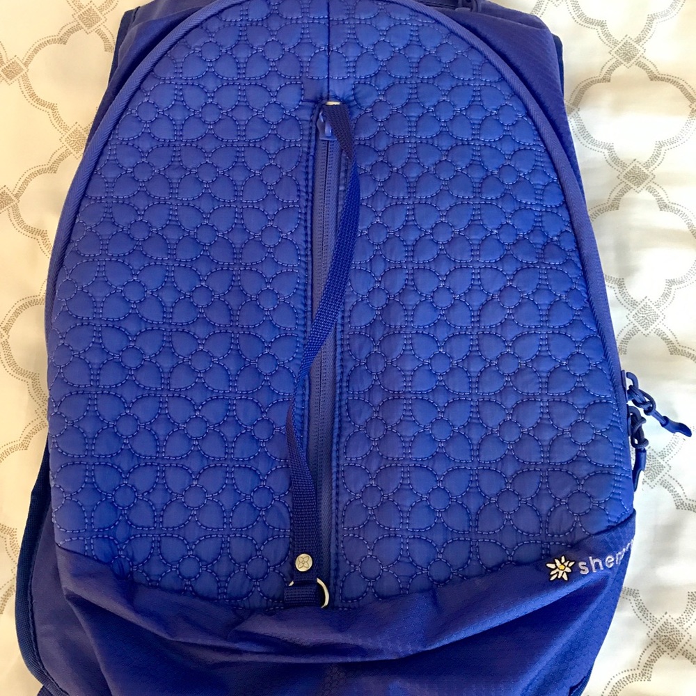 Sherpani City backpack