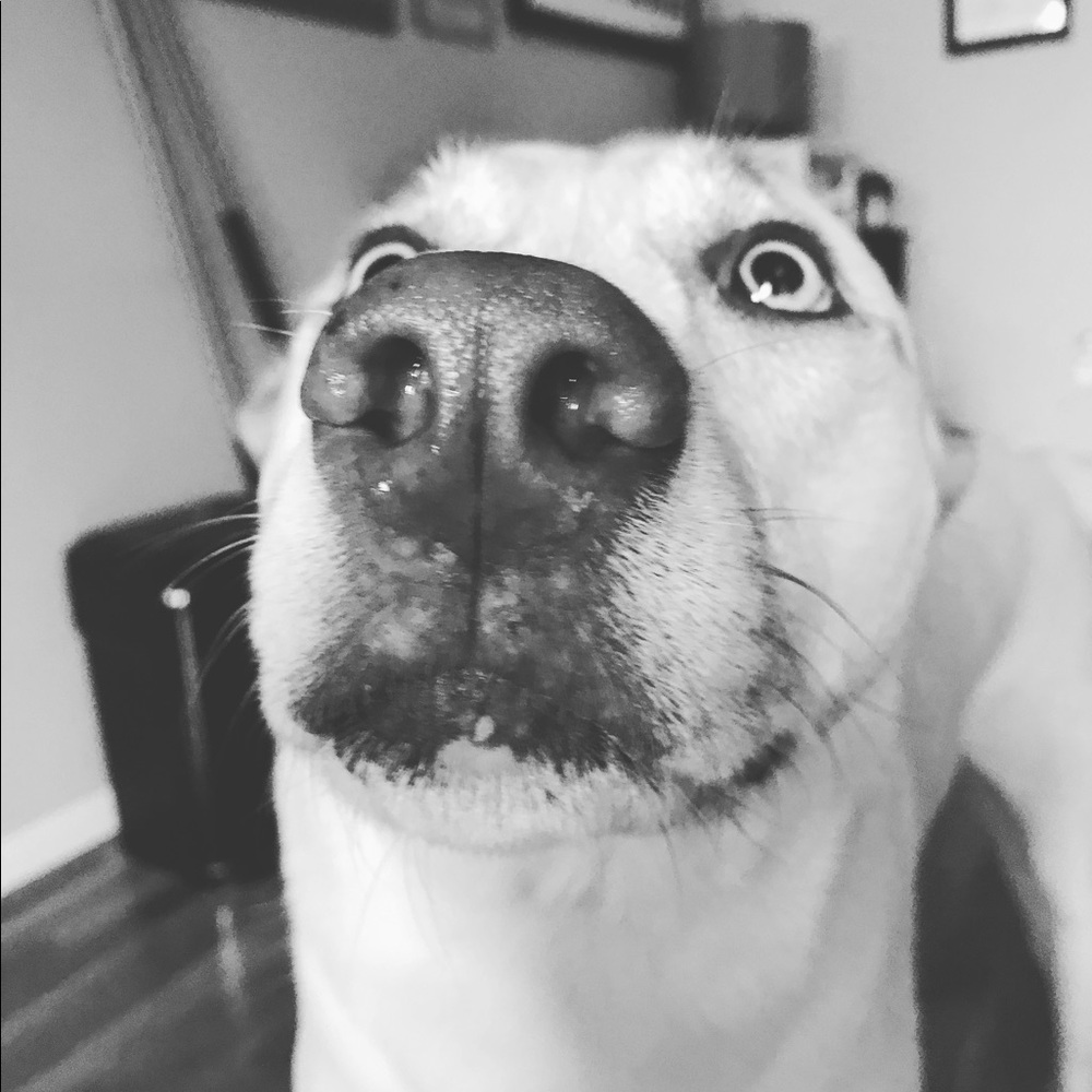 Meet your Posher, Megan