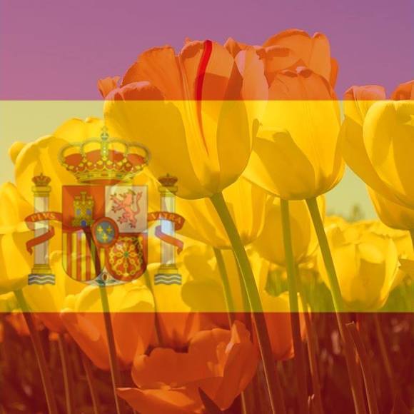 Meet your Posher, Jes - Picture 1 of 1