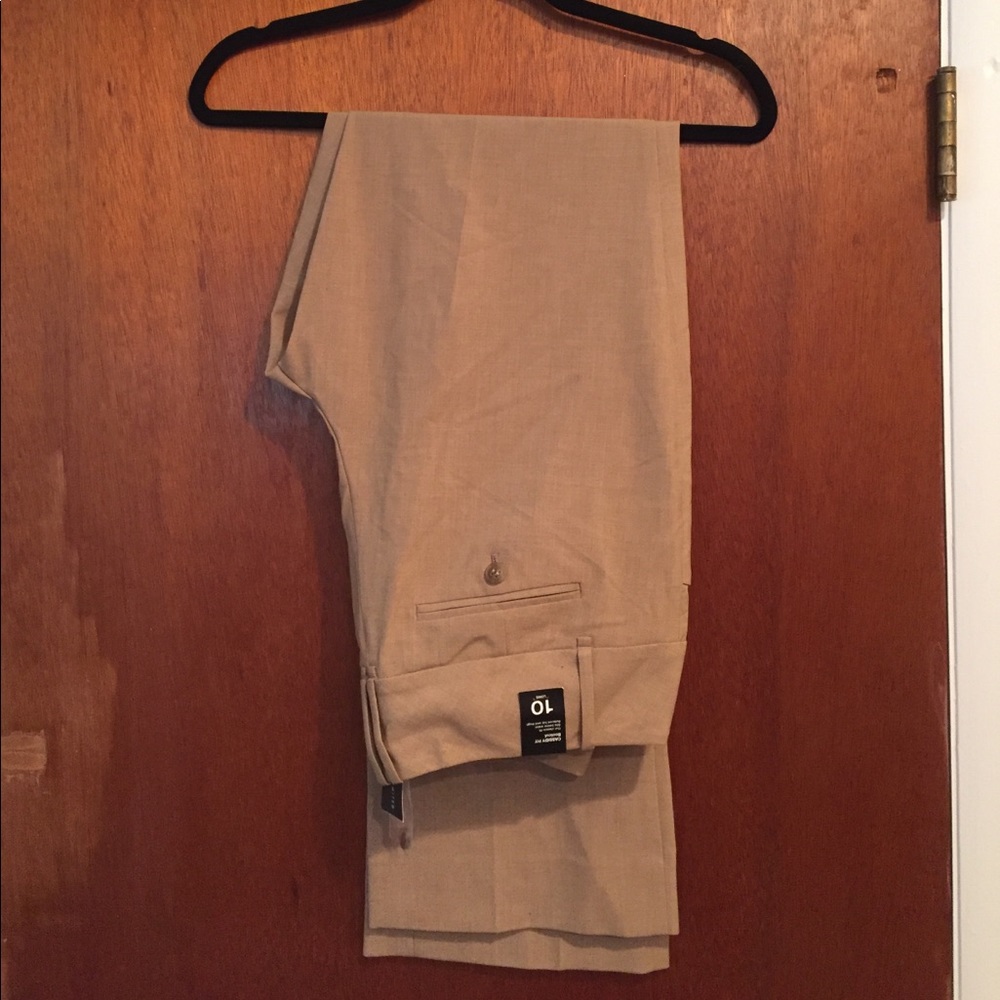 NWT The Limited Cassidy pants size 10L