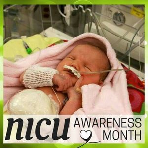 Meet your Posher, Judi