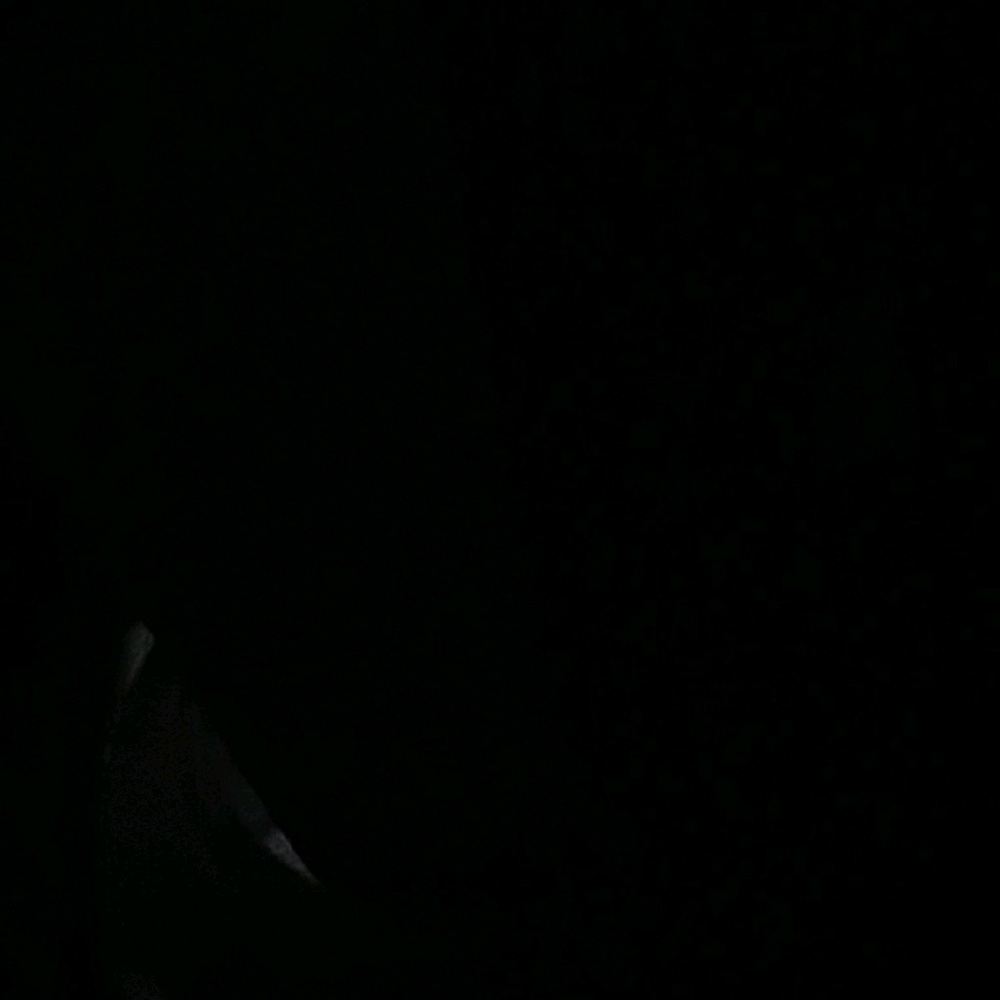 Meet your Posher, Joann