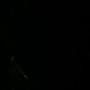 Meet your Posher, Joann