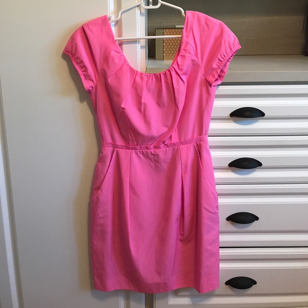 Pink Silk J.Crew Mini Dress