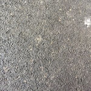 Meet your Posher, Hayden