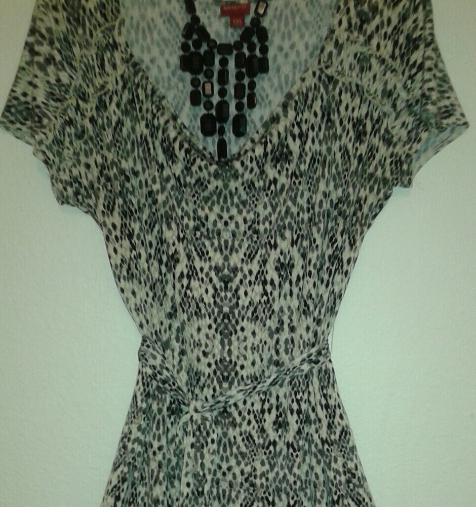 ALMOST Animal Print Dress