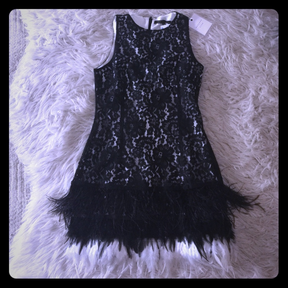 NWT Endless Rose Lace Feather dress