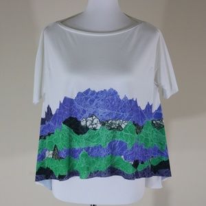 Zara Graphic Crop Top