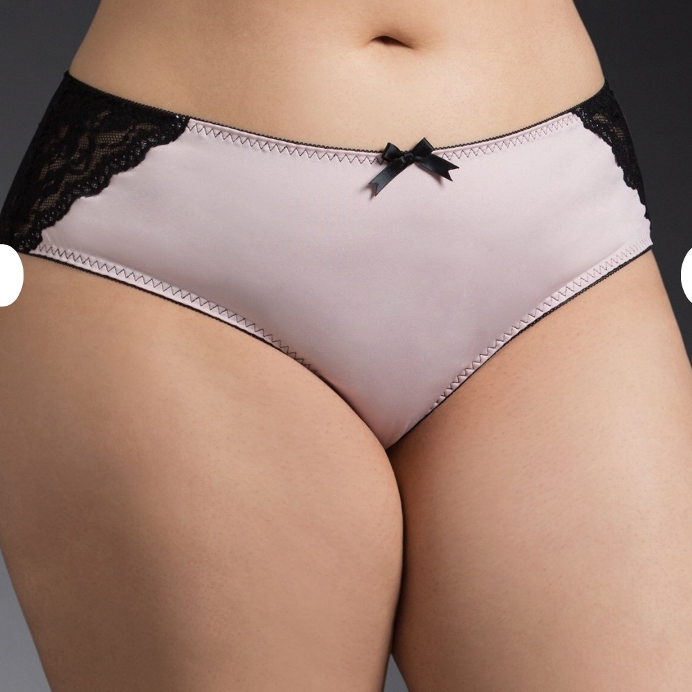 Microfiber & Lace Back Cheekster Panty