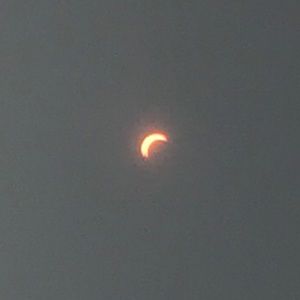 Meet your Posher, Diego