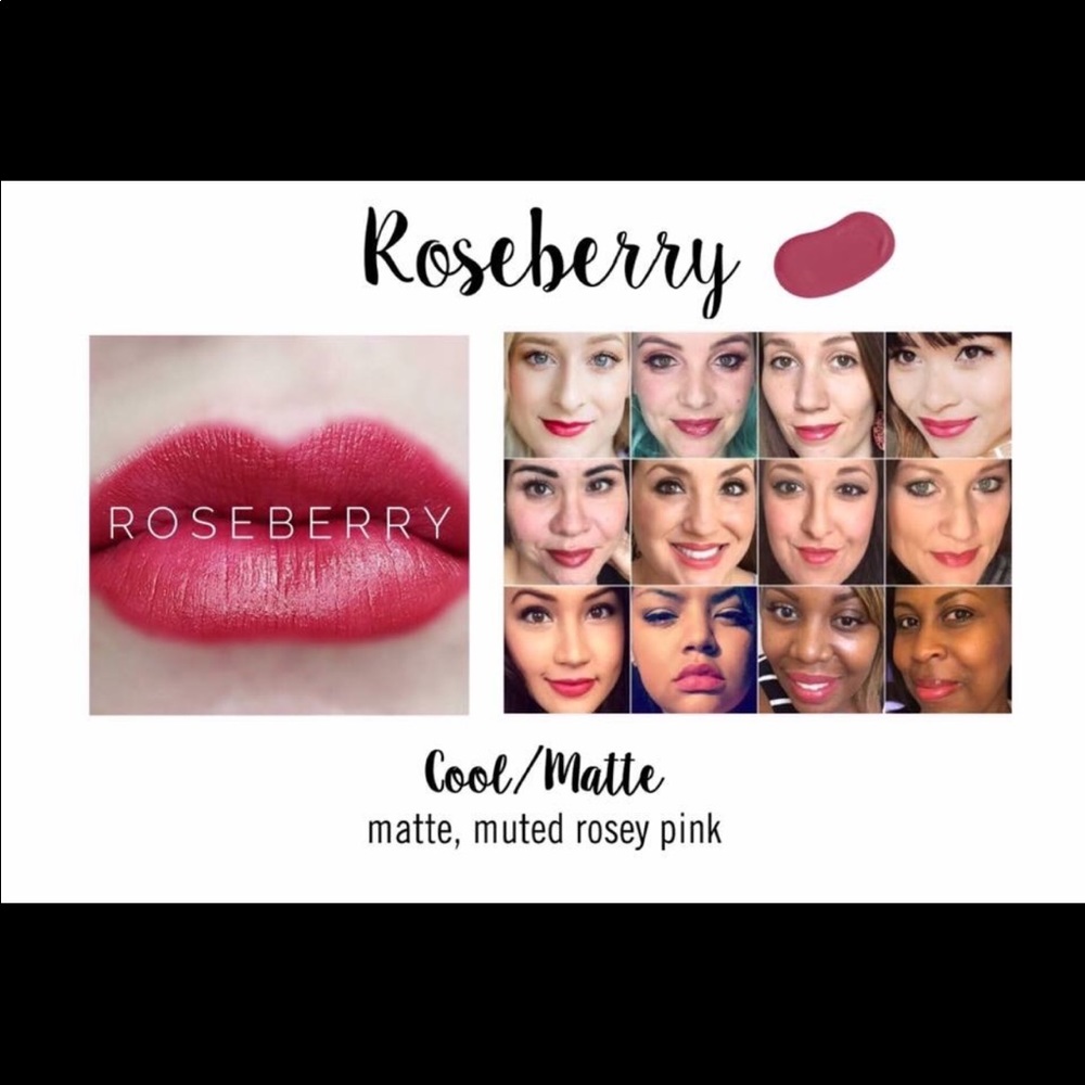 🎉SALE!🎉 Long Lasting RoseBerry LipSense Color💗