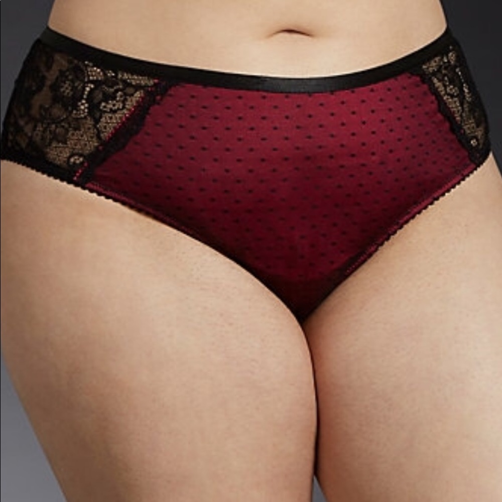 Microfiber Mesh Lace Cheekster Panty