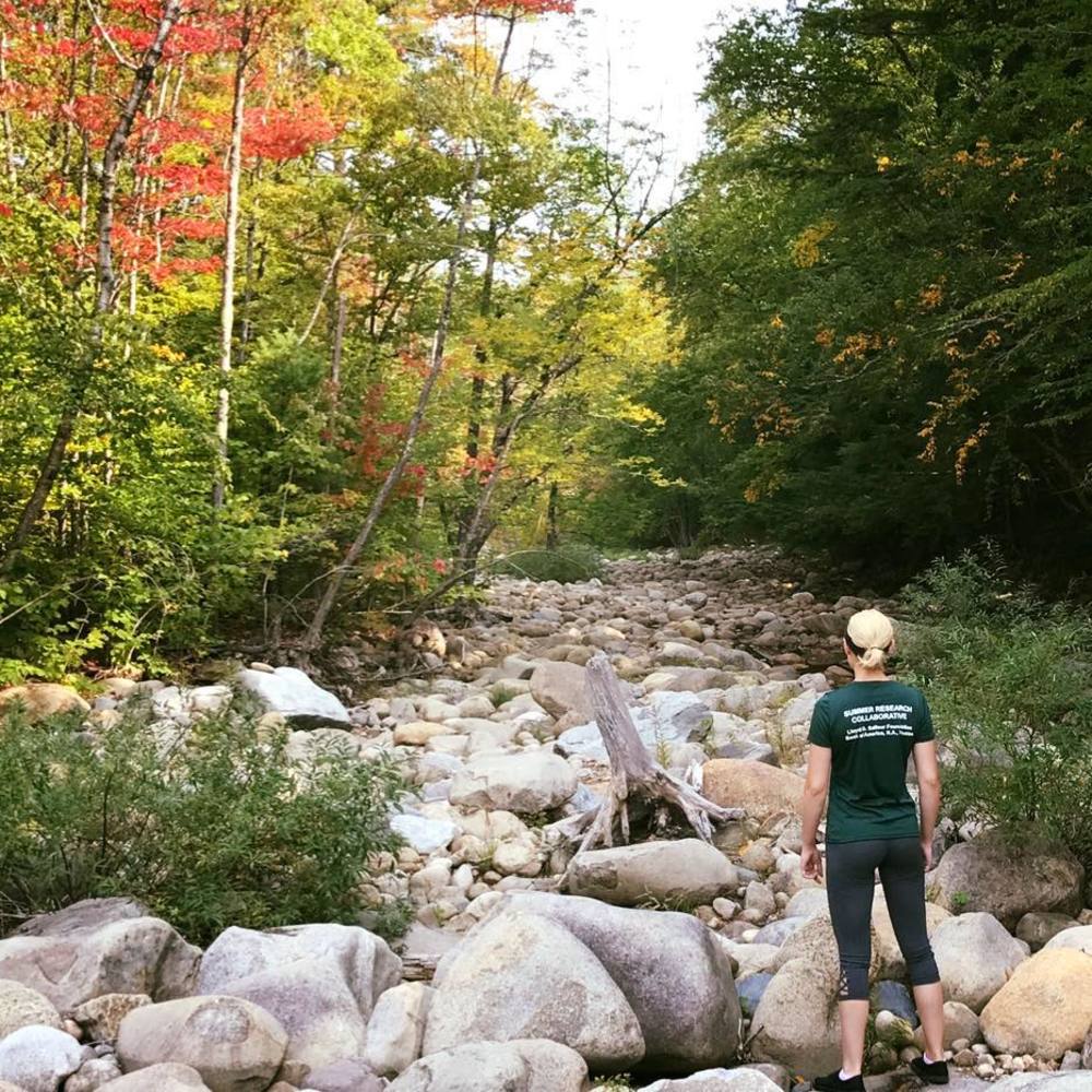 Meet your Posher, Kaitlin