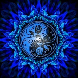 Meet your Posher, Tiffani