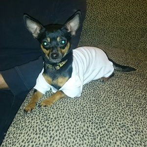 Meet your Posher, Dina