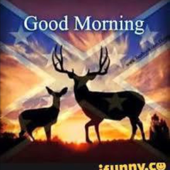 Meet your Posher, Tina - Picture 1 of 1