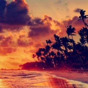 Meet your Posher, Ariana