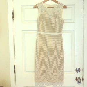 🥂SALE 🥂Maggy London Striped Lace Sheath Dress
