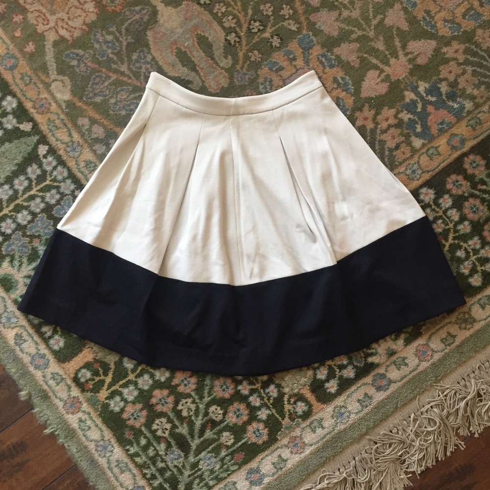 Beige & Black Knee Length Skirt
