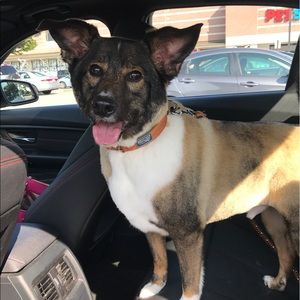 Meet your Posher, Nikki