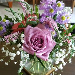 Meet your Posher, Thea