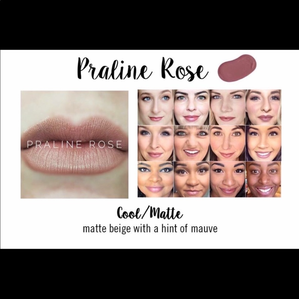 🎉SALE!🎉 Long Lasting Praline Rose LipSense Color
