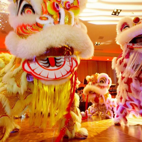 Meet your Posher, Paula - Picture 1 of 1