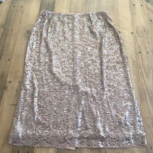 JCrew Collection starry sequin skirt - 6
