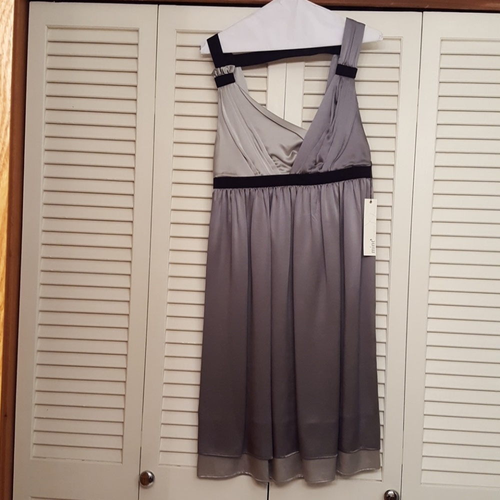 NWT MINT JODI ARNOLD TWO TONE SILK GRAY DRESS