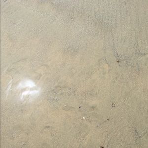 Meet your Posher, Tatiana