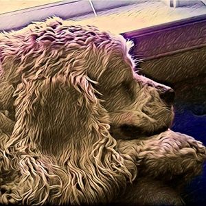 Meet your Posher, Jo