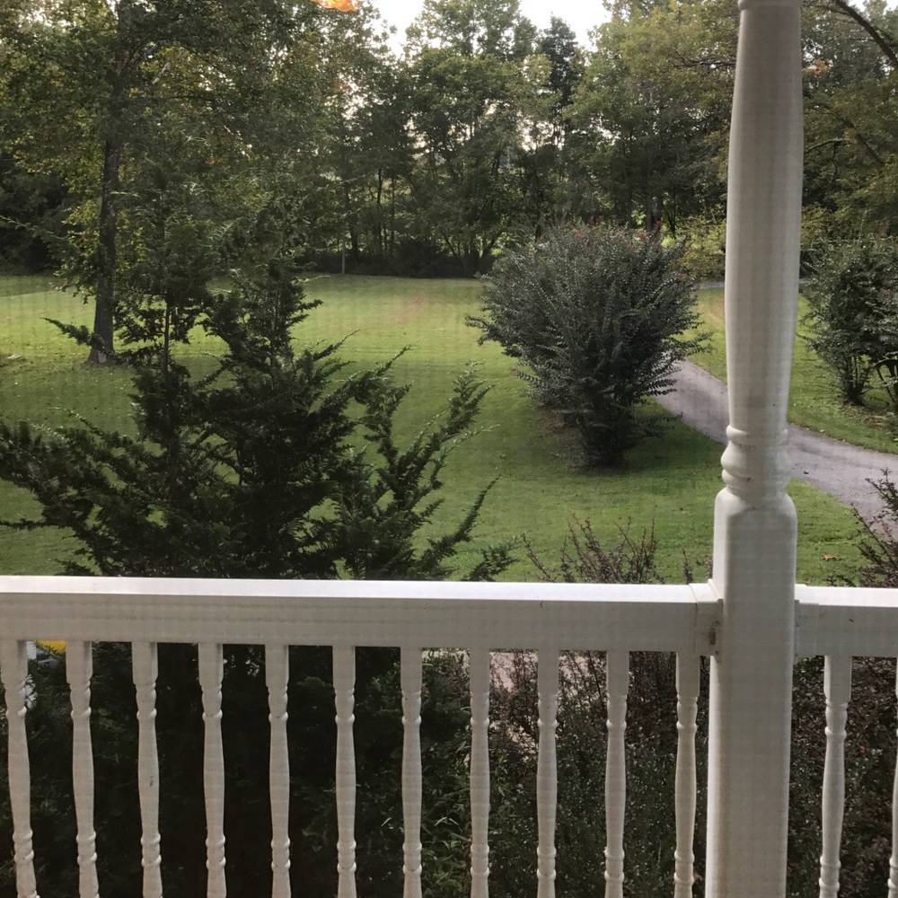 Meet your Posher, Hope