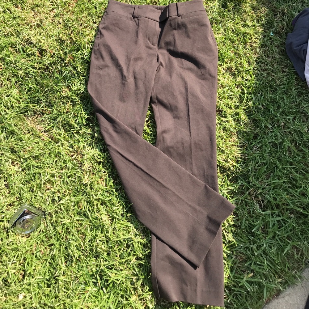 Ann Taylor Petite Signature Dress Pants