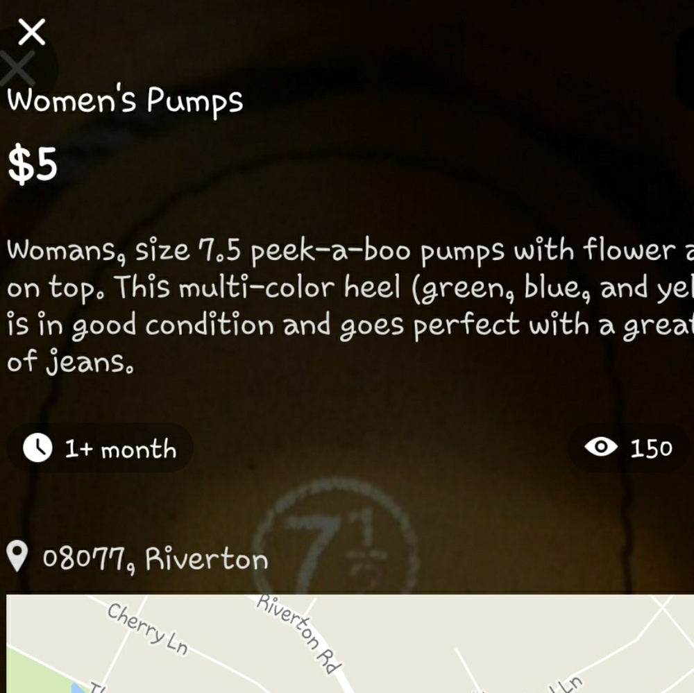 Pumps - Picture 5 of 5