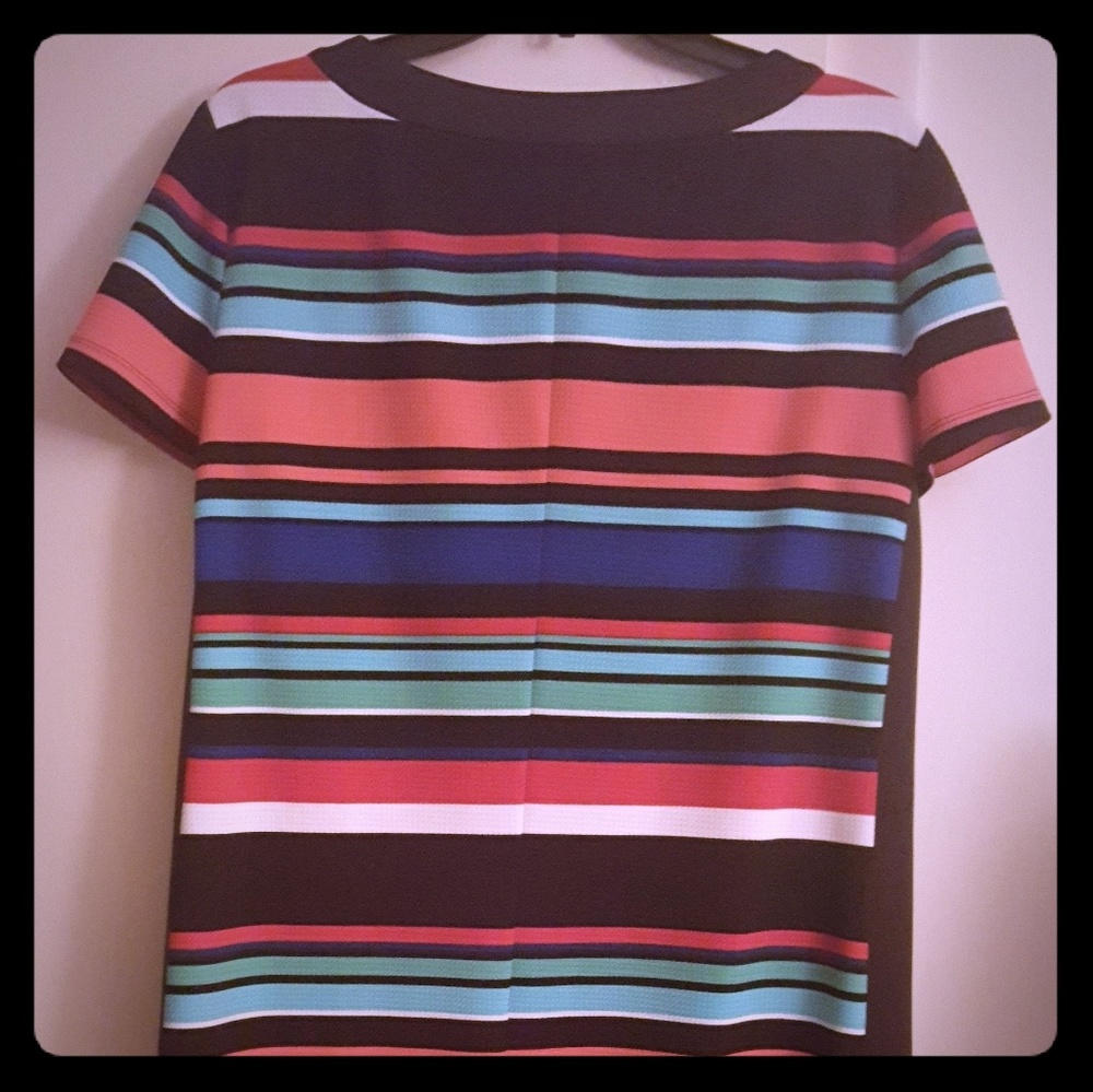 Multi Strip Petite Dress