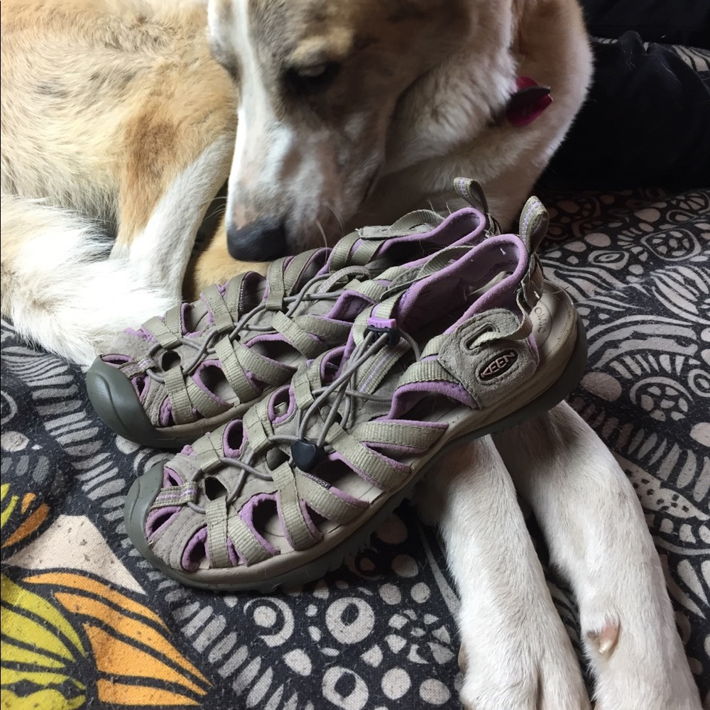 Keen sandals