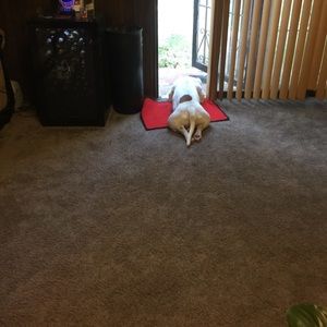 Meet your Posher, Robert