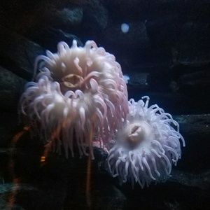 Meet your Posher, Mayra