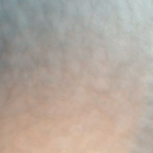 Meet your Posher, Steph