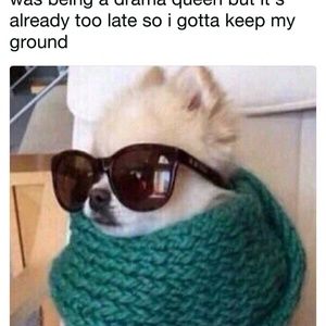 Meet your Posher, Lynne