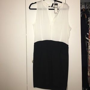 BCBGMaxazria Black and White Dress