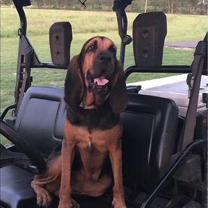 Meet your Posher, Aimee