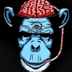 Meet your Posher, Quentin