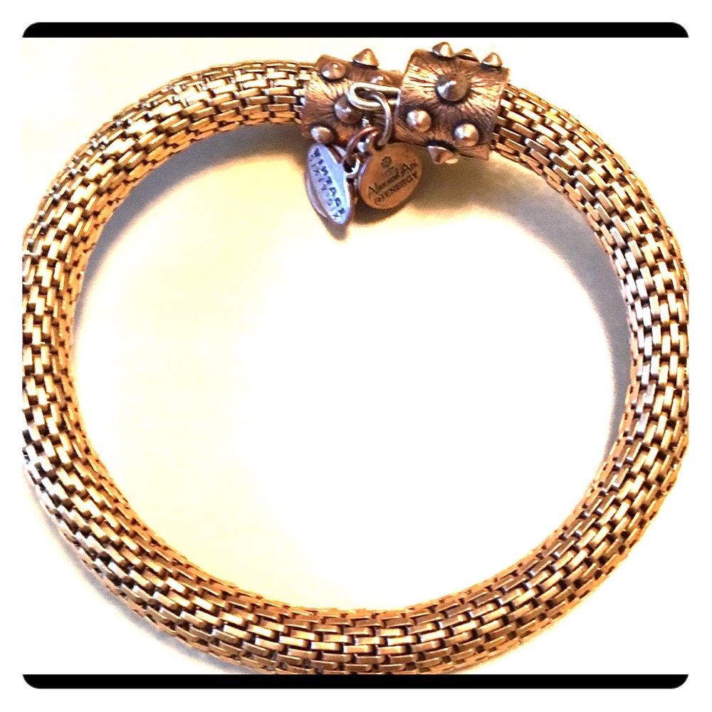 Alex and Ani Gold Bracelet