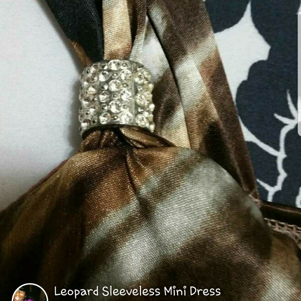 Leopard Dress - Picture 3 of 4
