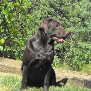 Meet your Posher, Jaclyn