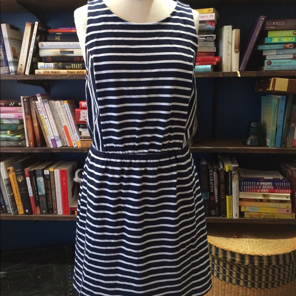 Loft Blue and White Stripe Dress