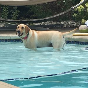 Meet your Posher, Jennifer